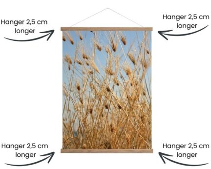 poster hanger size guide